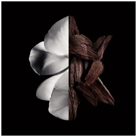 Givenchy Gentleman Boisee edp 60ml - Avoriell