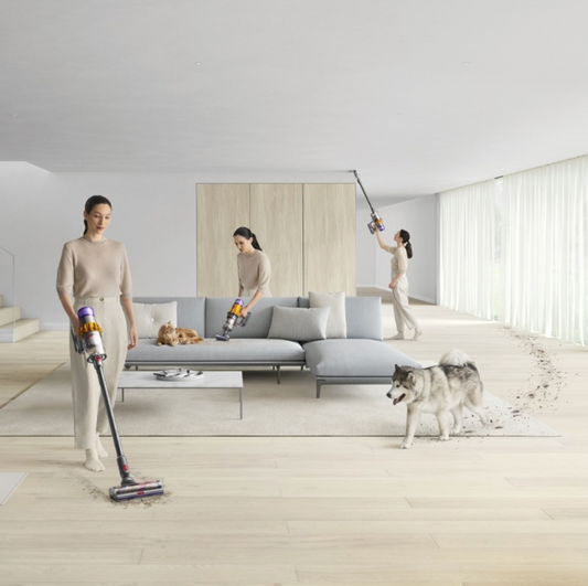 Dyson V15 Detect Absolute Ledningsfri